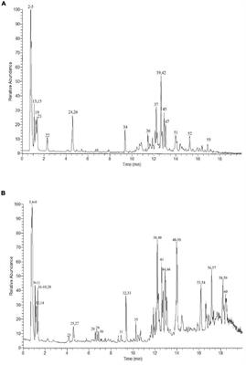 Characterization, Antioxidant Activities, and Pancreatic Lipase Inhibitory Effect of Extract From the Edible Insect Polyrhachis vicina